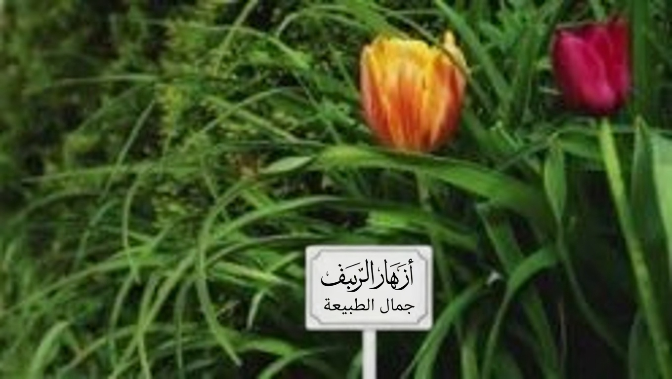 حشيشة الحصان (Erigeron canadensis): 20 فائدة مذهلة وكيفية استخدامها