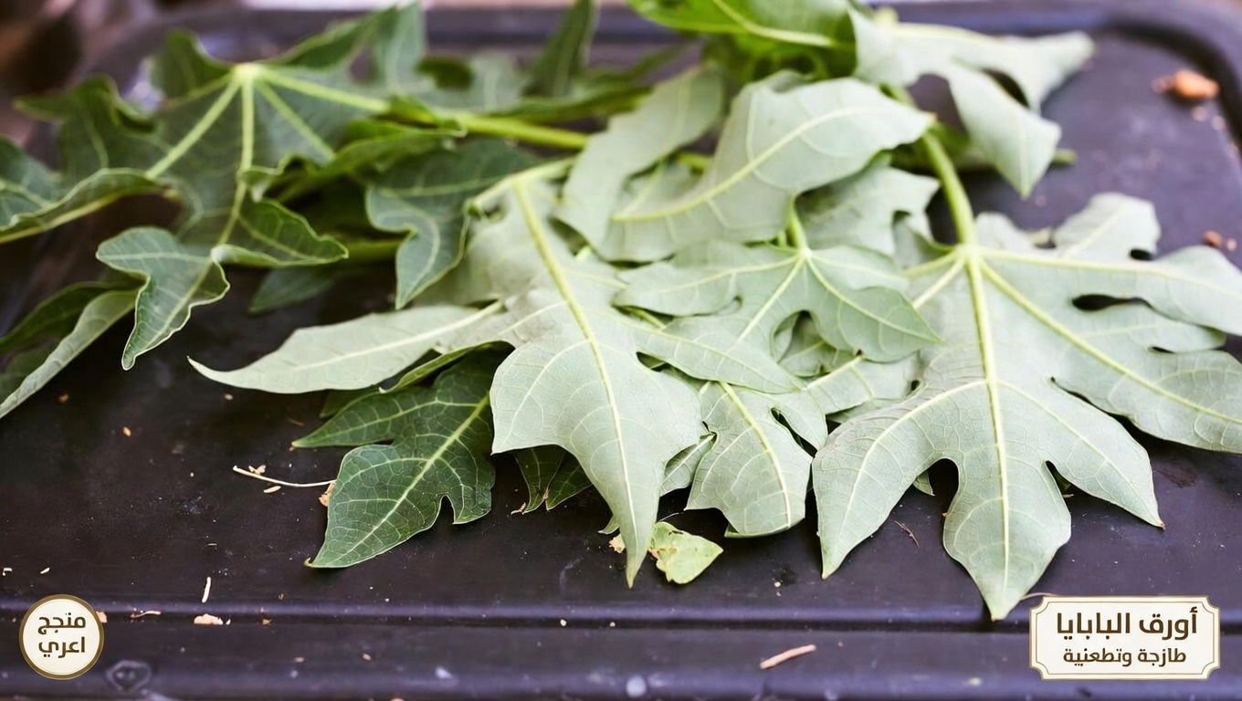 استكشاف إمكانات أوراق البابايا للعناية بالشعر: خيار طبيعي يستحق النظر فيه