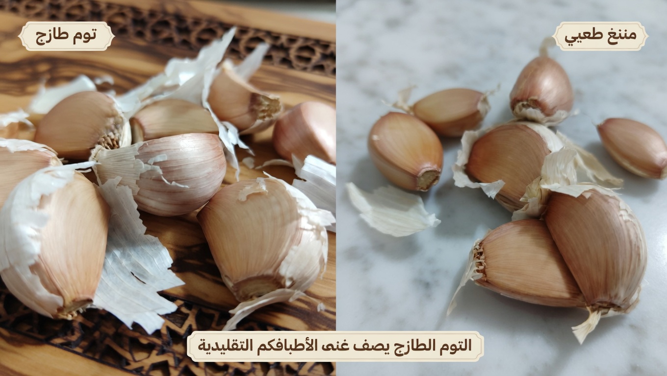 هل الثوم حليف طبيعي قوي لدعم صحة جهازك المناعي؟ اكتشف ما يقوله العلم