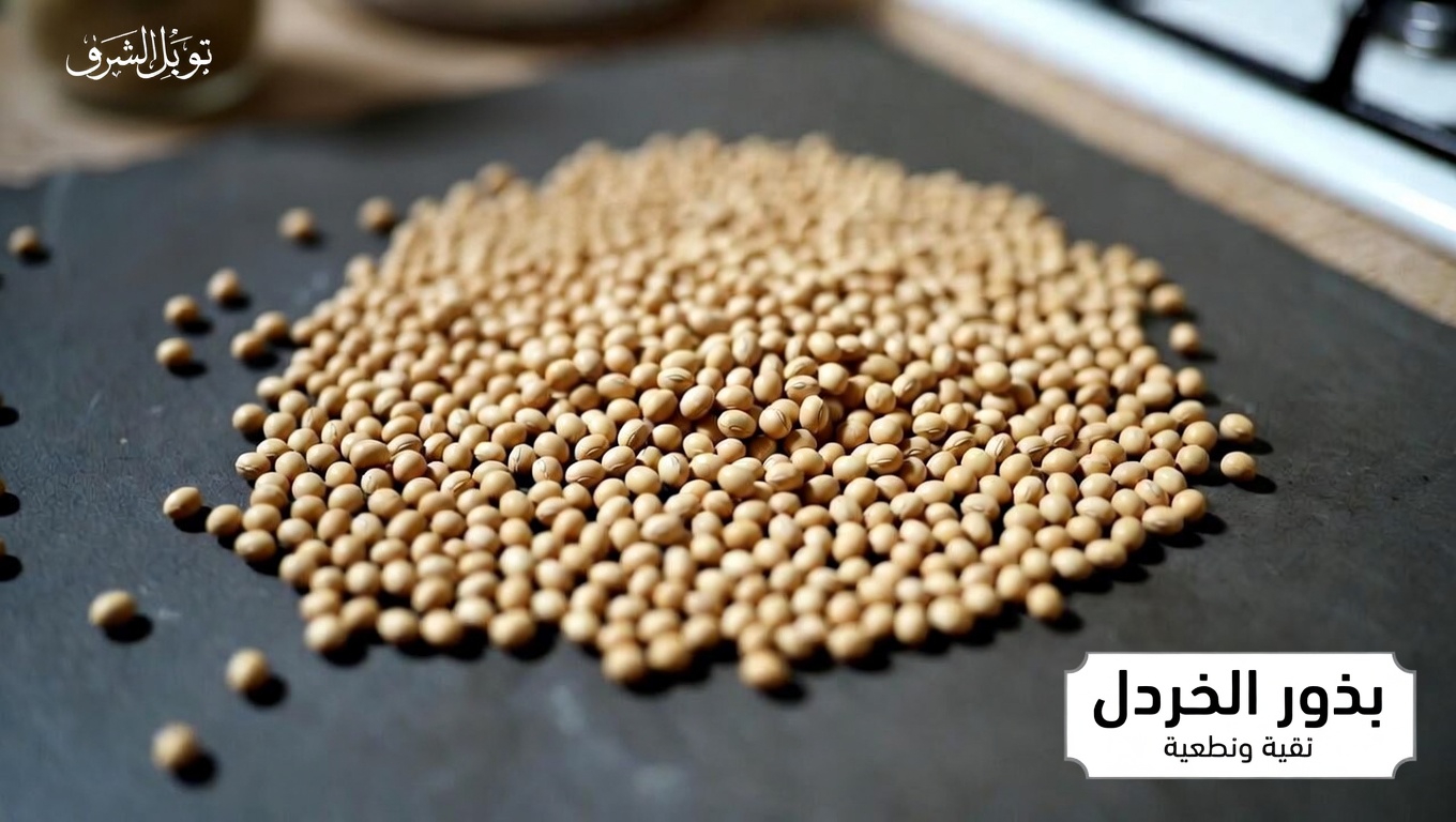 لماذا تُعدّ خيارات البروتين مهمة لصحة الكلى؟