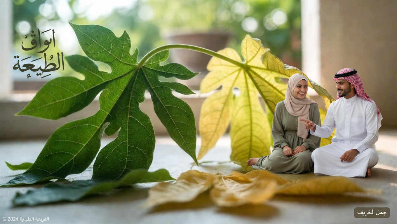 استكشاف أوراق البابايا كخيار طبيعي للعناية بالشعر