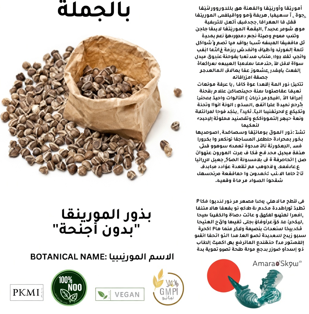 ما هي الفوائد الغذائية المحتملة لبذور المورينجا؟ نظرة أقرب على هذا الغذاء الخارق الغني بالعناصر الغذائية