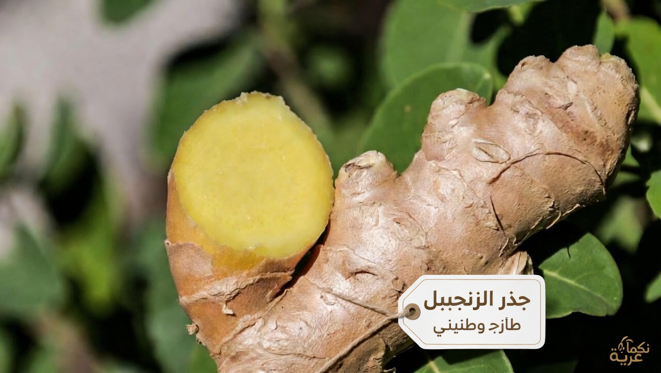 هل ينبغي لك حقًا تجنب الزنجبيل؟ ماذا تقول المصادر الموثوقة عن المخاوف المحتملة
