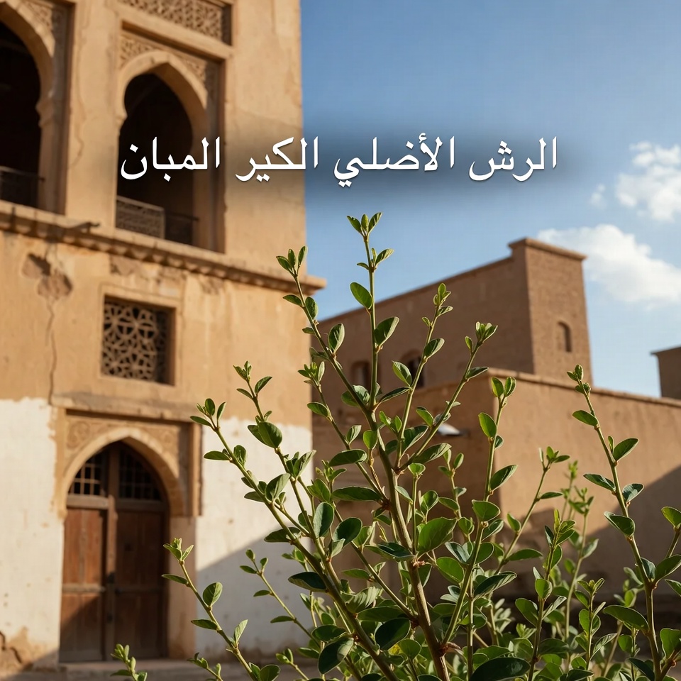 12 فائدة صحية مذهلة لنبات كسارة الحجر لا ينبغي أن تفوتك