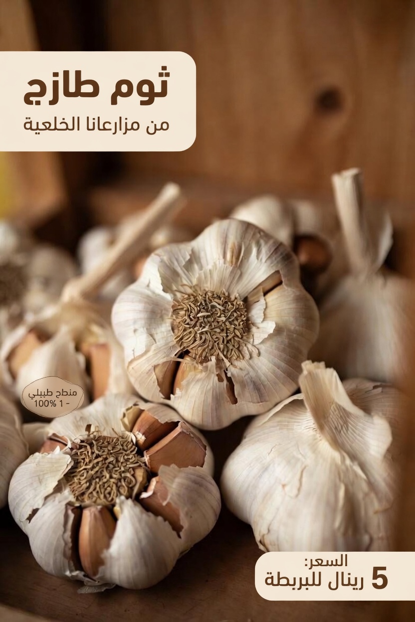 6 أخطاء شائعة في استخدام الثوم يجب على كبار السن تجنبها من أجل صحة يومية أفضل