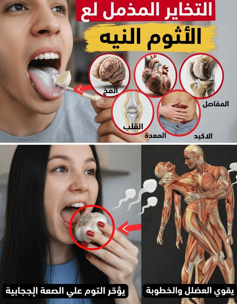 ماذا يحدث لجسمك عندما تأكل الثوم النيء قبل النوم؟ عادة ليلية بسيطة تستحق التجربة