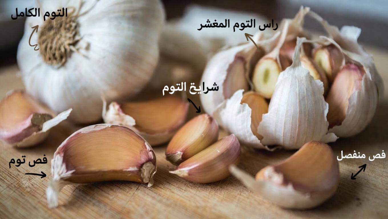 ماذا يحدث لجسمك عندما تأكل الثوم النيء قبل النوم؟ عادة ليلية بسيطة تستحق التجربة