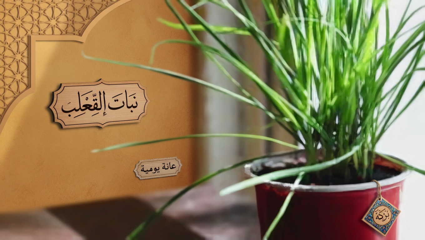 11 فائدة مدهشة لورقة الحياة المعجزة