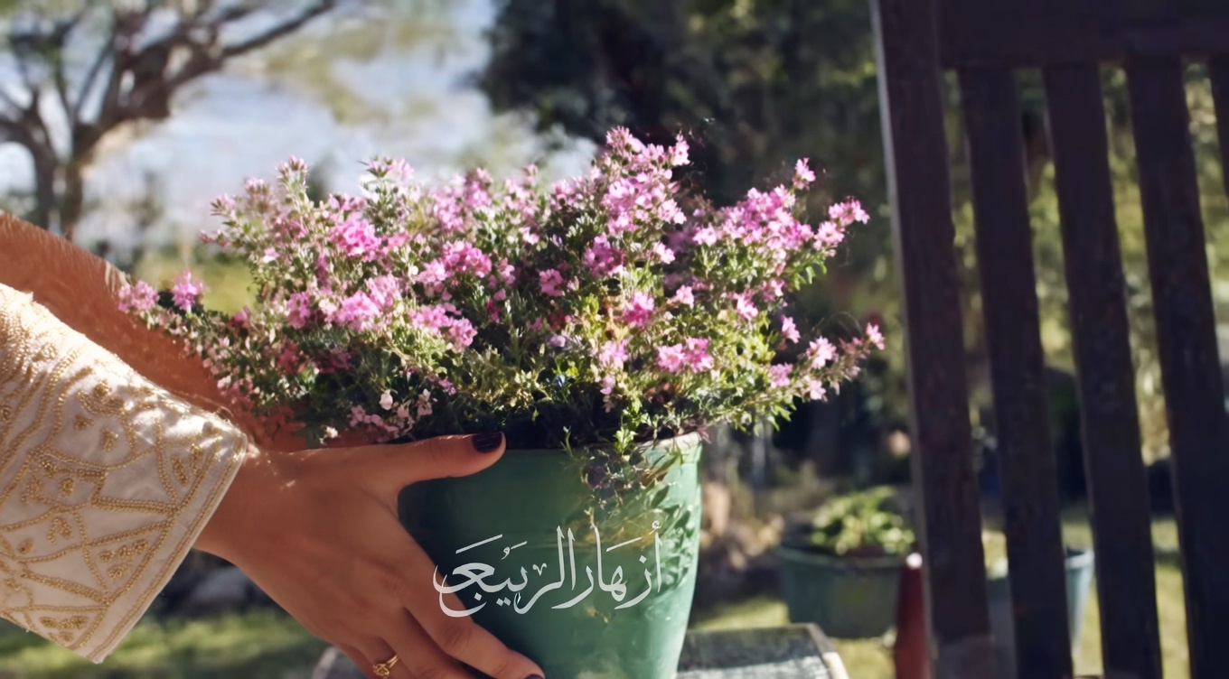 نبات كاسر الحصى: علاج الطبيعة لحصى الكلى