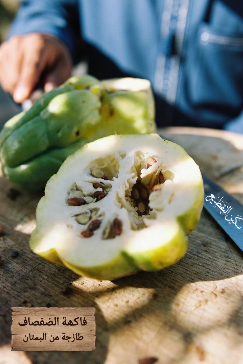 اكتشف كيف يمكن لقرع التشايوتي أن يدعم روتينك اليومي للعافية