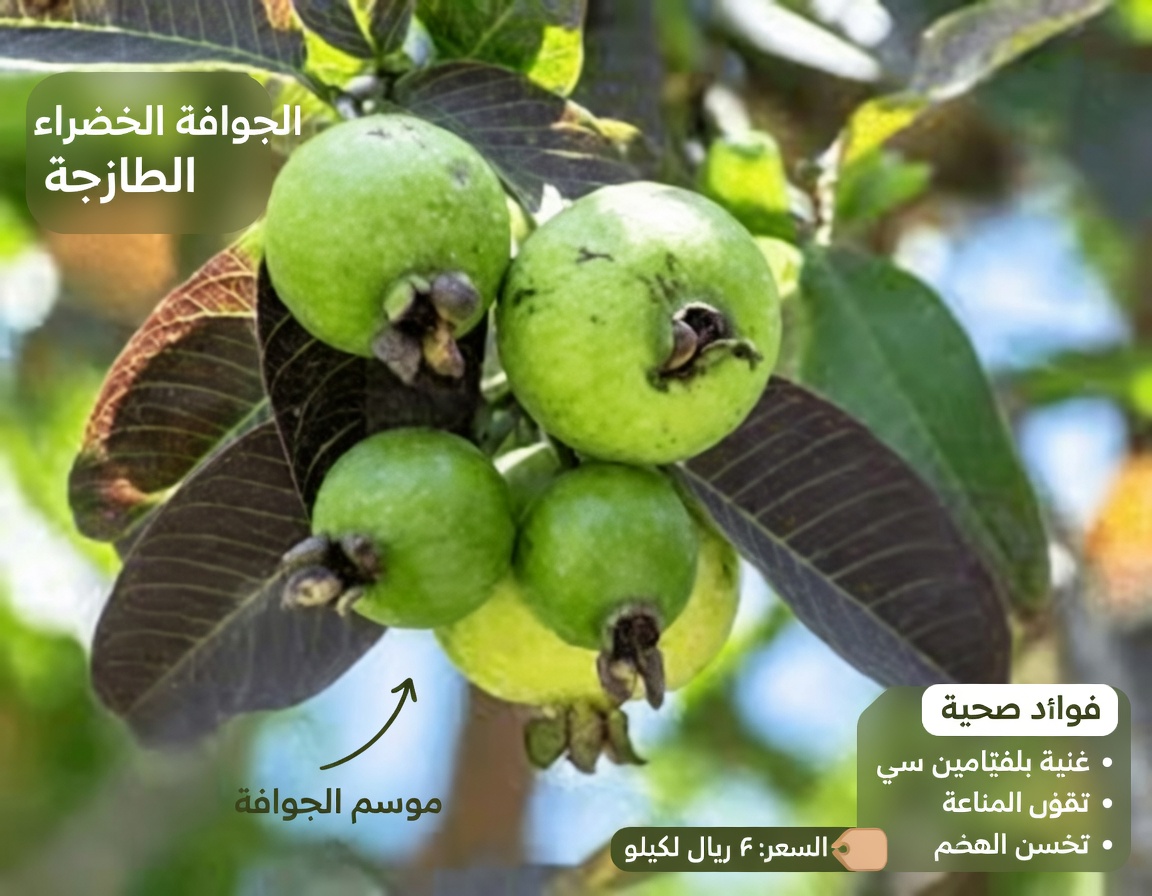 استكشاف الطرق الطبيعية لدعم صحة العين بالجوافة: دليل بسيط