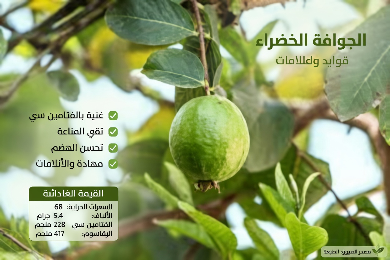 استكشاف الطرق الطبيعية لدعم صحة العين بالجوافة: دليل بسيط