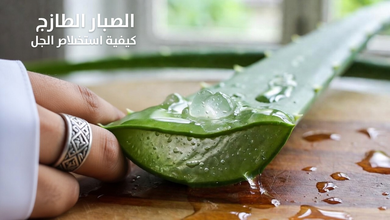 مرطِّب منزلي بسيط من الألوفيرا وزيت جوز الهند لبشرة مرطبة تبدو شابّة