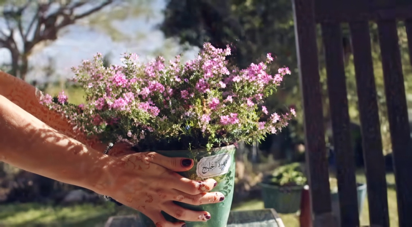 الفوائد المذهلة لعصارة التين: إكسير الطبيعة الخفي