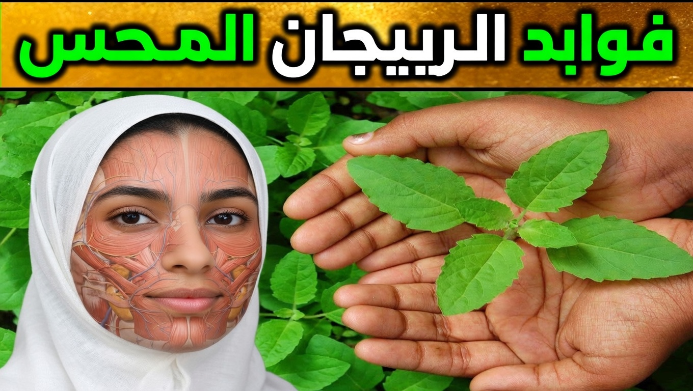 أفضل 15 أعشاب تقضي على الالتهابات وتُزيل المخاط من الرئتين