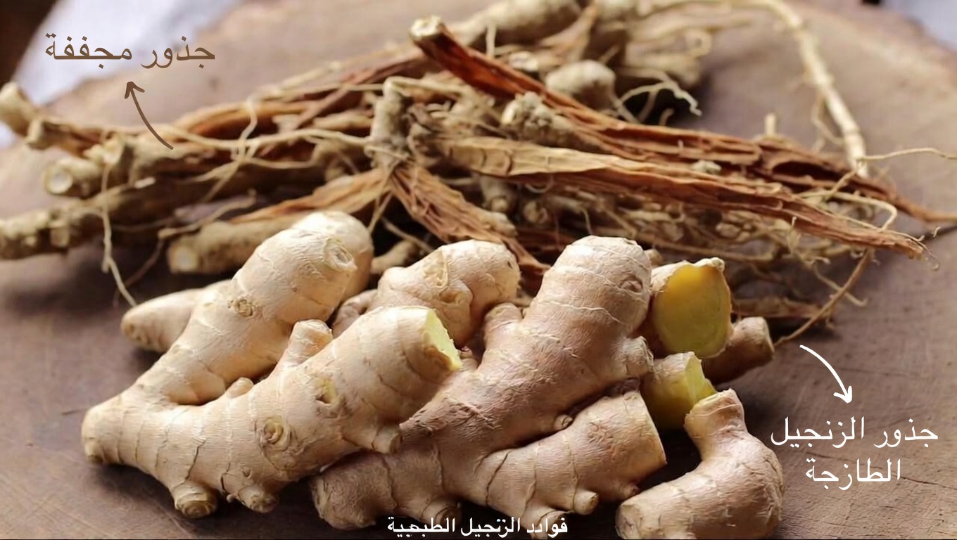 فوق سنّ الستين؟ استكشف هذه الأنواع الثلاثة من شاي الأعشاب لدعم الدورة الدموية الصحية وخطوات أكثر قوة في مشيك اليومي