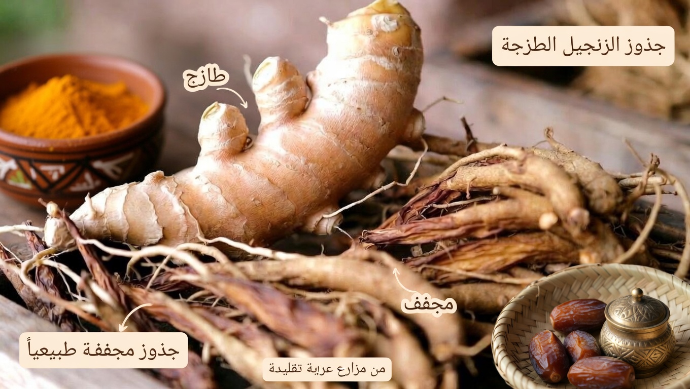 فوق سنّ الستين؟ استكشف هذه الأنواع الثلاثة من شاي الأعشاب لدعم الدورة الدموية الصحية وخطوات أكثر قوة في مشيك اليومي