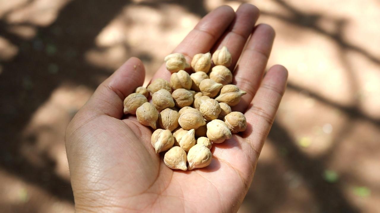 كبار السن: 6 أنواع من البروتين ينبغي الحد منها و4 خيارات أكثر أمانًا إذا كانت لديك مشكلات في الكلى