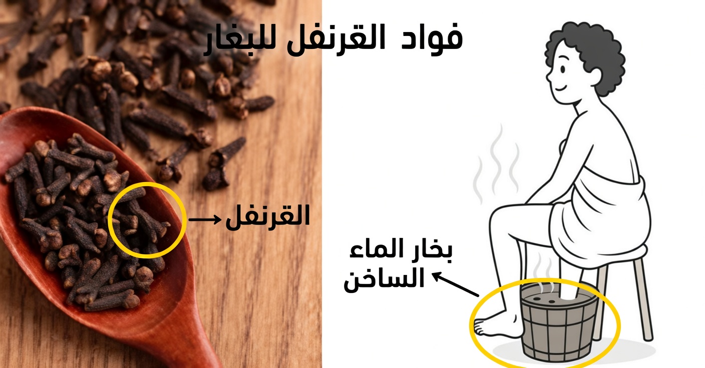 فوائد القرنفل لصحة المرأة
