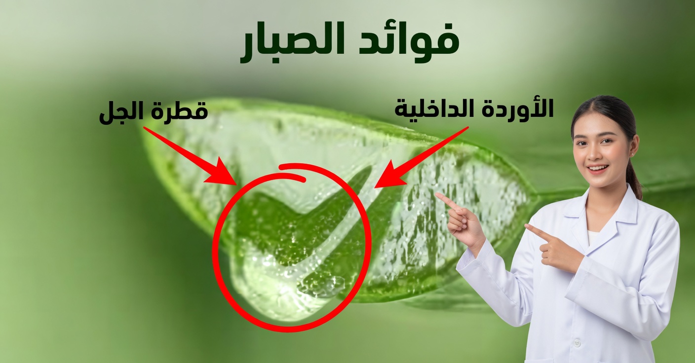فوائد الألوفيرا مع القرفة للصحة والبصر
