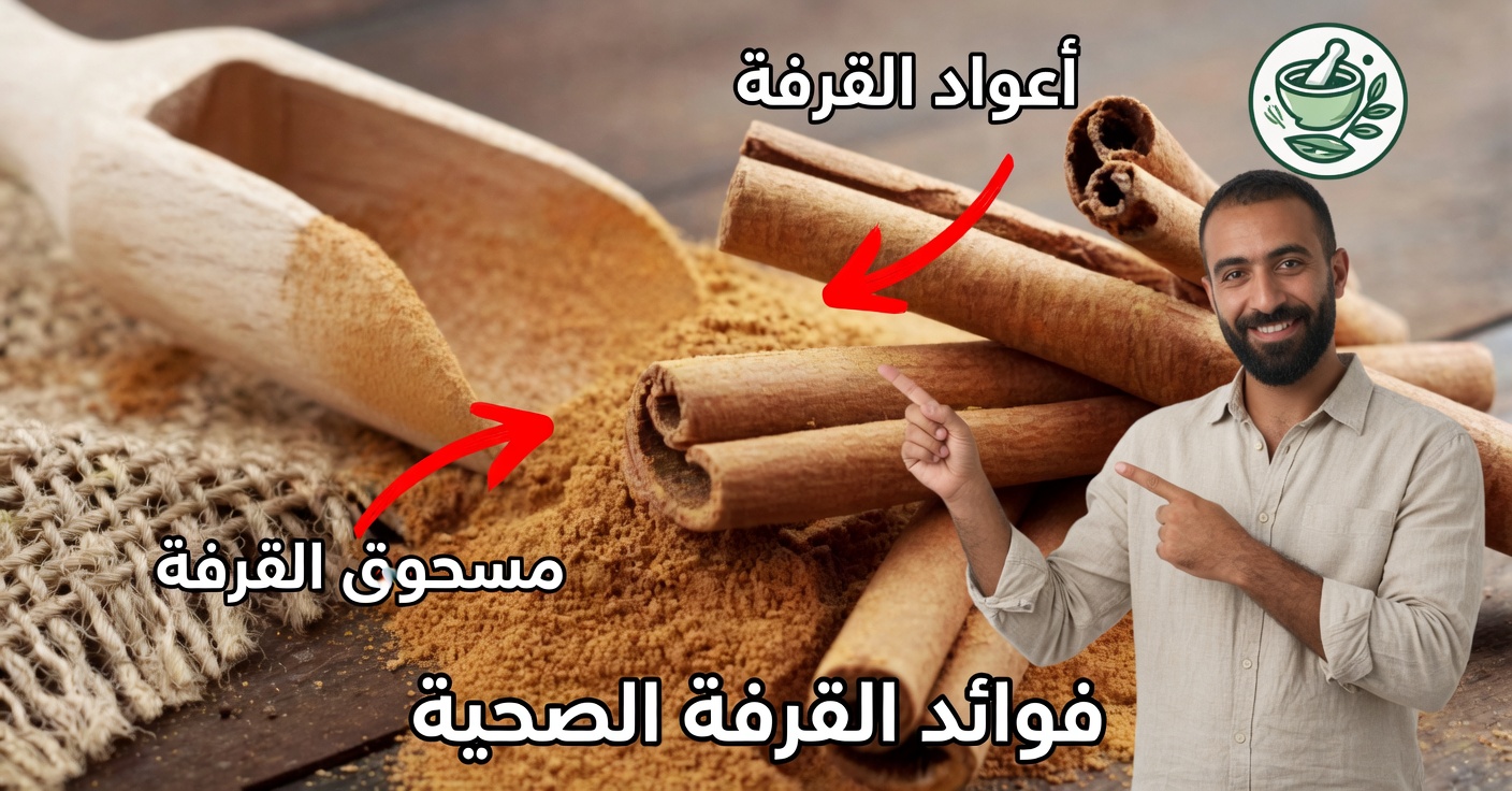 علاجات بالقرفة: الاستخدامات والفوائد والوصفات المنزلية