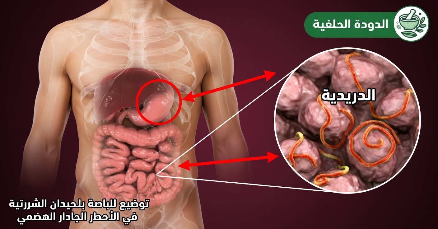 علامات الطفيليات وكيفية التخلص منها