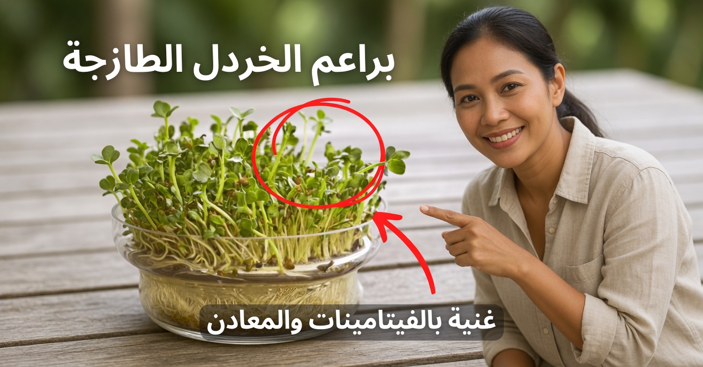 البرسيم الحجازي للكلى والنقرس