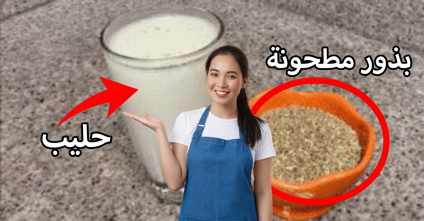 حليب بذور الكناري: كيفية تحضيره وفوائده