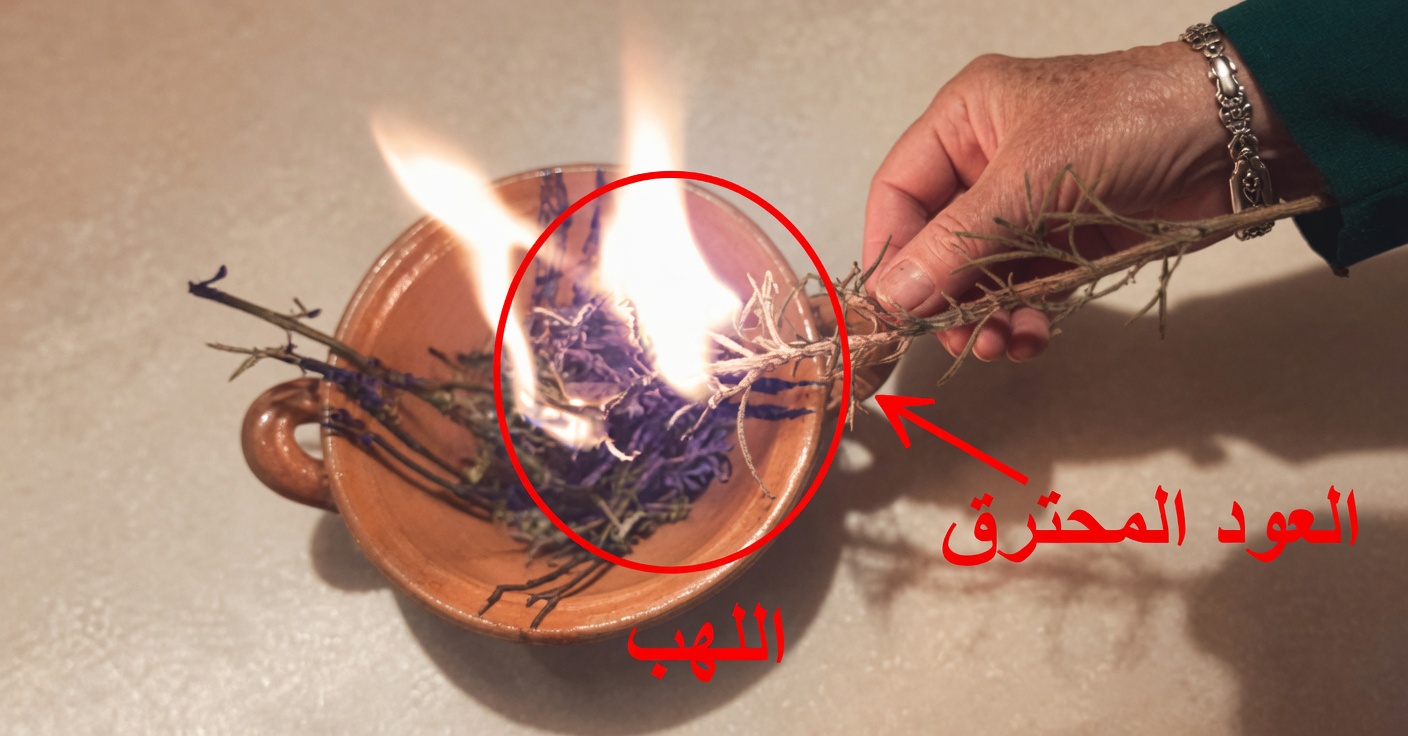فوائد حرق إكليل الجبل في المنزل