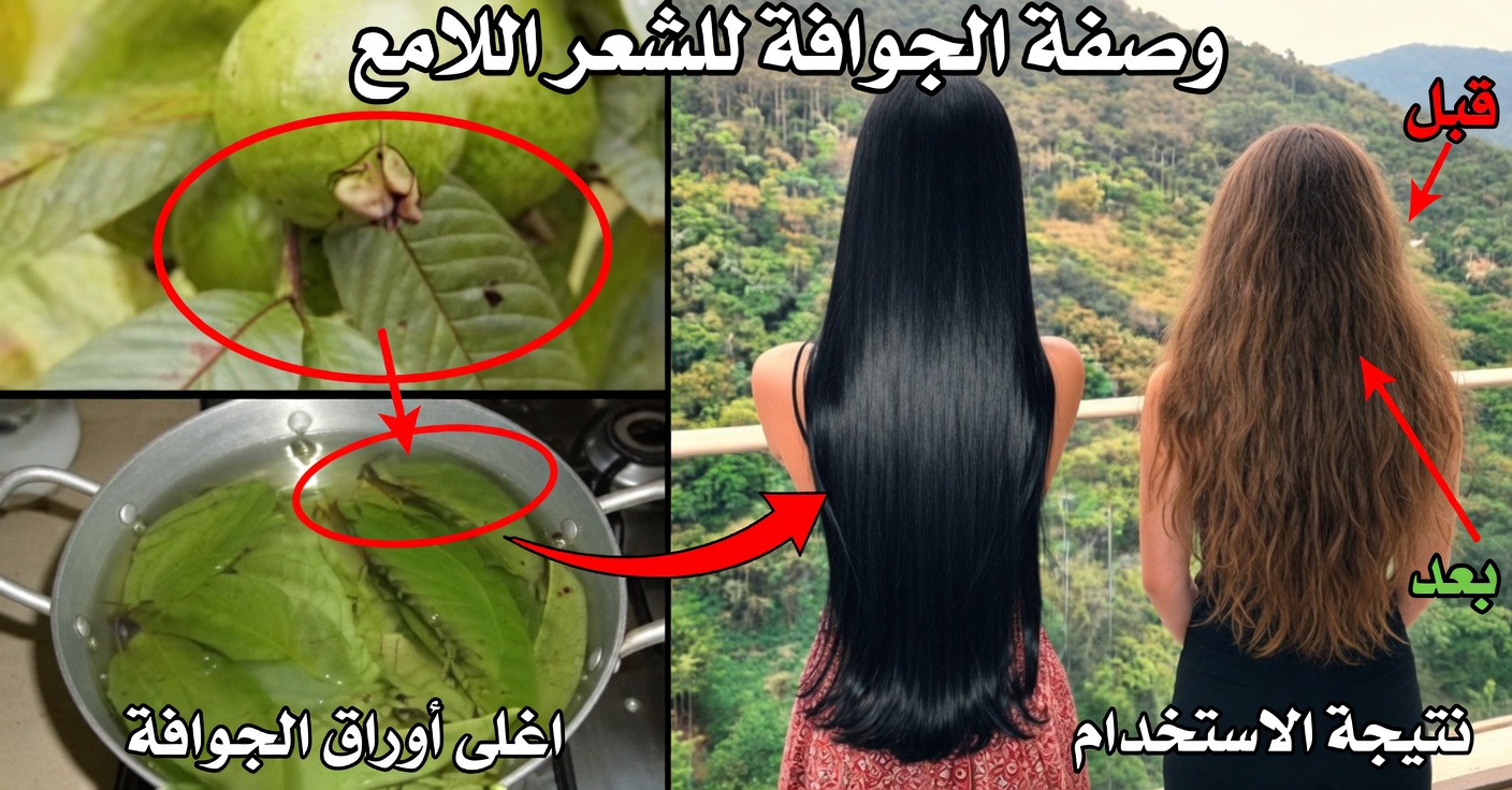 شامبو الجوافة للشعر