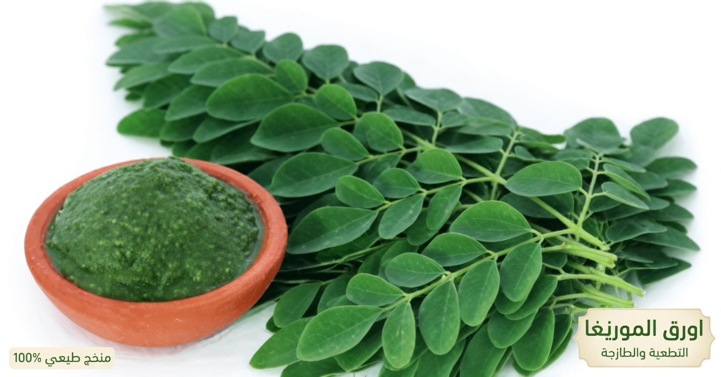 الأوراق الطبية للبصر: أساسية لصحتك العينية