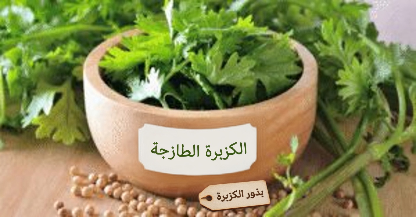 الأوراق الطبية للبصر: أساسية لصحتك العينية