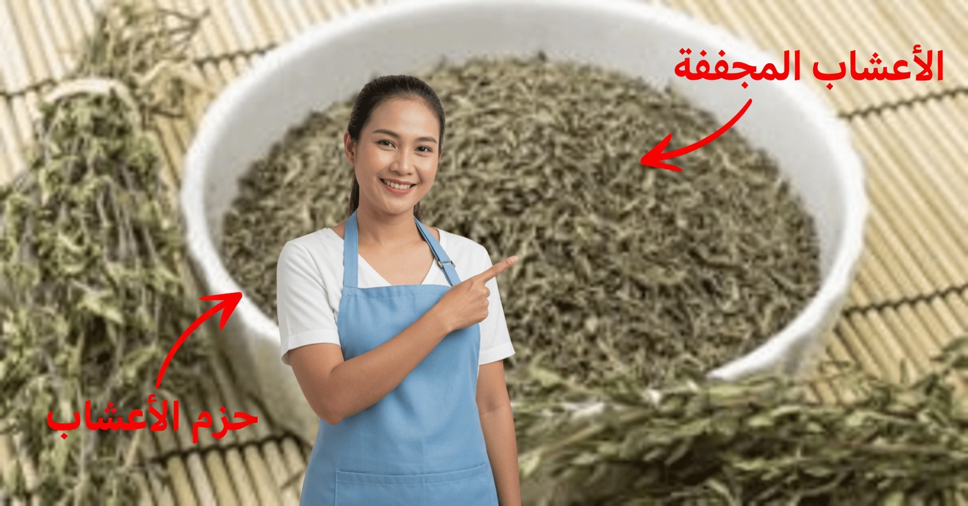 الزعتر: الاستعمالات الطبية والوصفات المنزلية