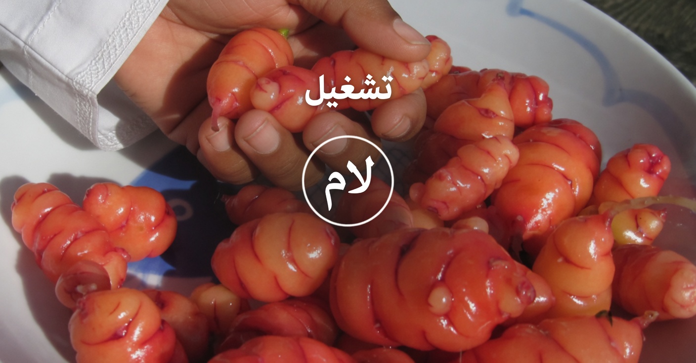 الحمص والبيض: بديل غني بالبروتين وخالٍ من اللحم