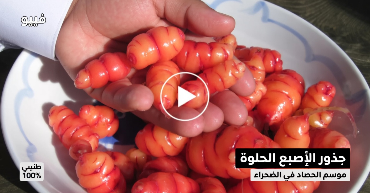 اكتشف الفوائد الطبيعية لشاي الكركديه في إنقاص الوزن