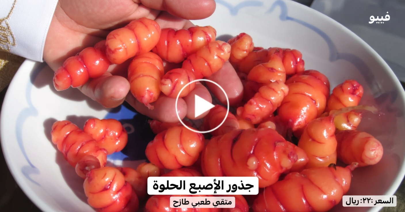 اكتشف الفوائد الطبيعية لشاي الكركديه في إنقاص الوزن