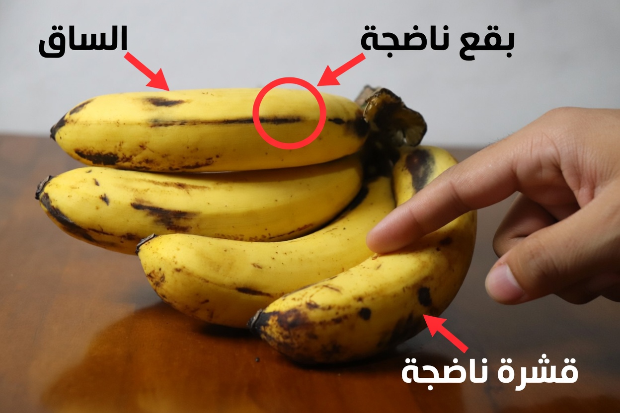7 فواكه ليلية تحمي عضلاتك بعد سنّ الستين (تُبطئ ضمور العضلات بشكل طبيعي)