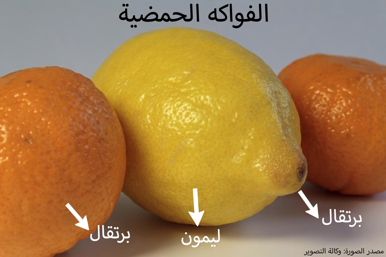 جدّد غضروفك في 24 ساعة فقط بالسر الذي يكشفه طبيب عظام