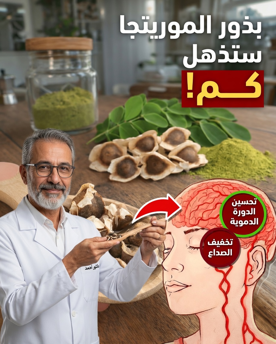 12 طريقة مدهشة لدعم بذور المورينغا لرفاهيتك (لا يكاد أحد يعرفها)
