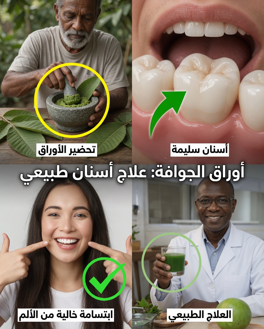 أفضل 3 طرق بسيطة لاستخدام أوراق الجوافة في العناية اليومية بصحة الفم – أفكار سهلة لتنفيذها في المنزل