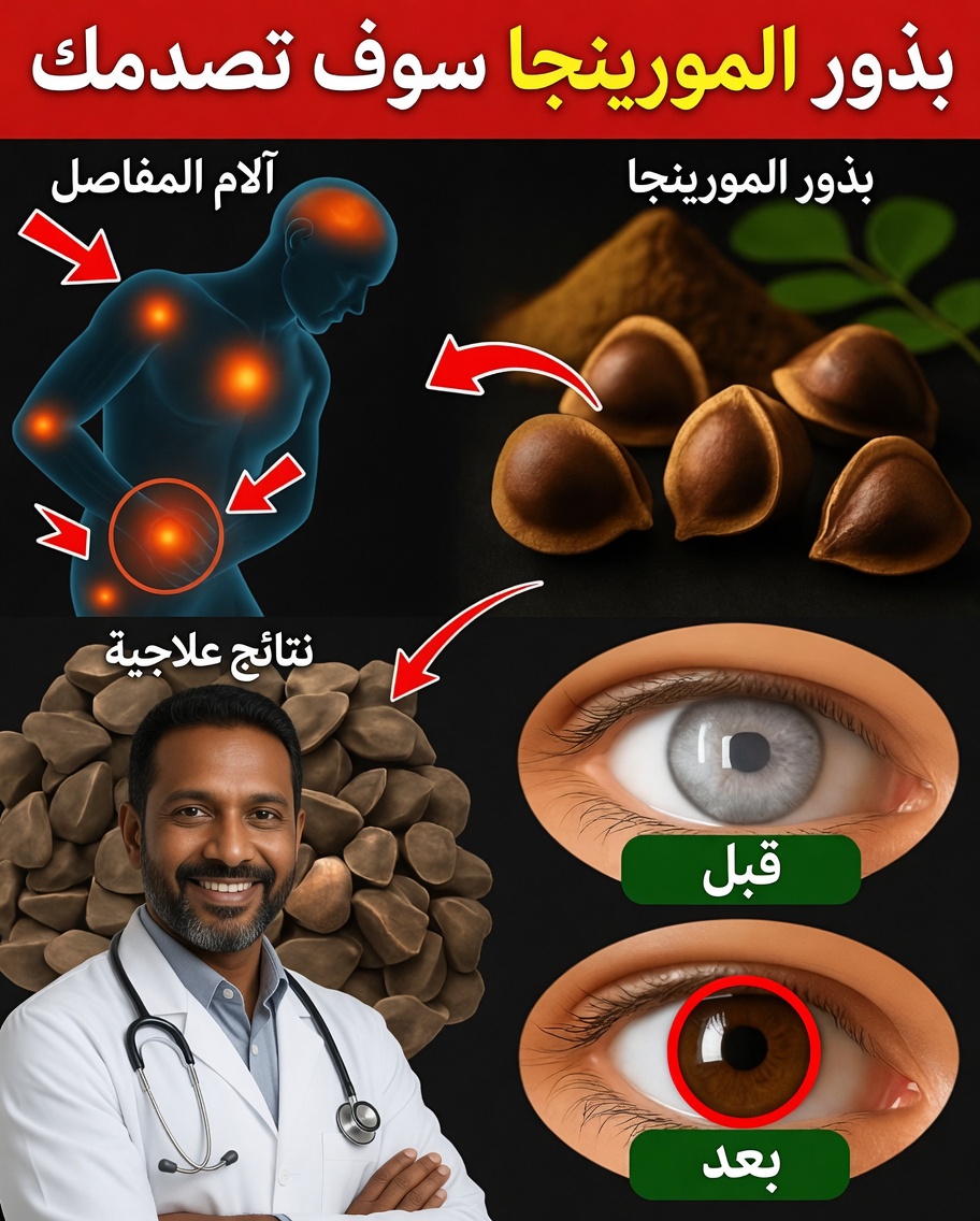 12 فائدة قوية لبذور المورينغا ربما لم تسمع بها من قبل