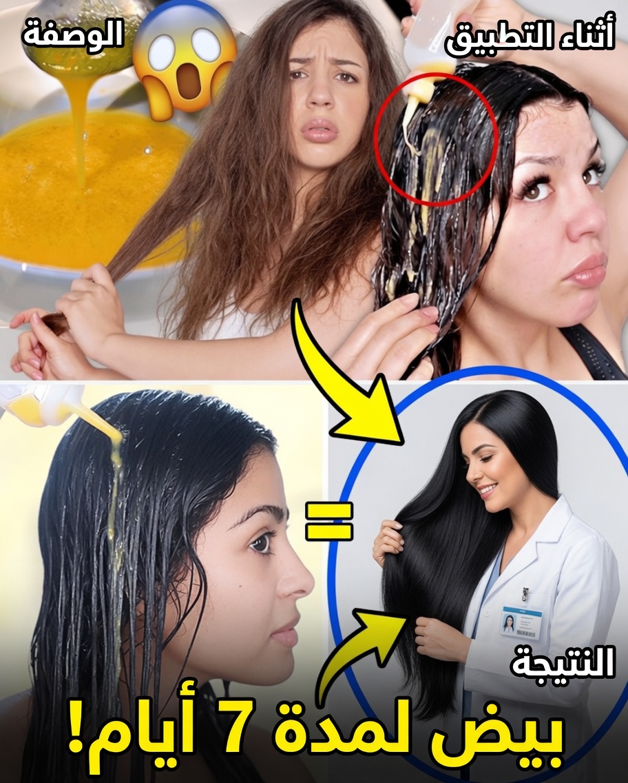 أطلق نمو الشعر بقوة البيض وزيت الزيتون