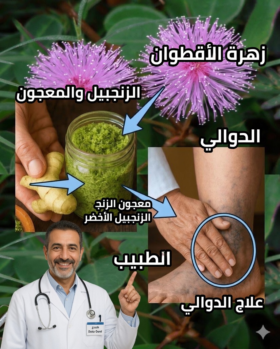 ميموزا بوديكا: النبات المدهش في الحديقة الذي يمكنه أن يحوّل صحتك
