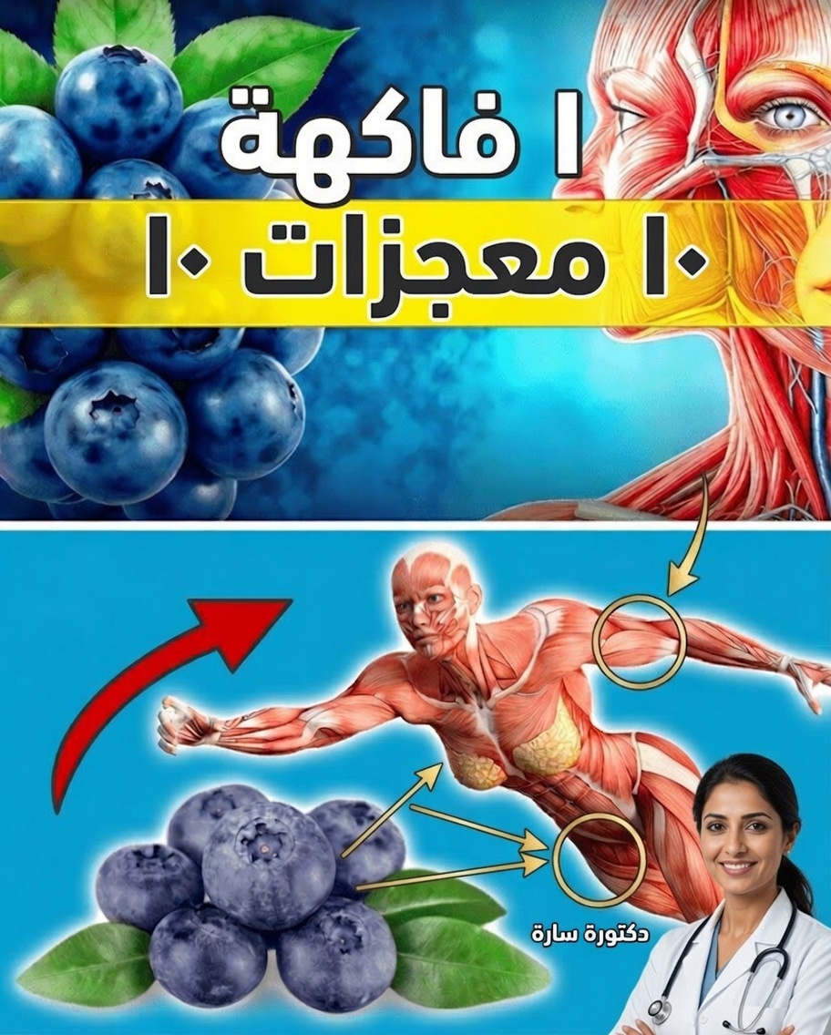 ماذا يحدث لجسمك عندما تأكل التوت الأزرق كل يوم؟