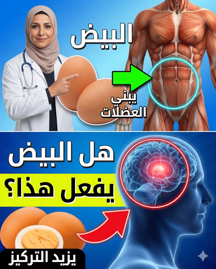 ماذا يحدث لجسمك عندما تتناول بيضتين كل يوم؟
