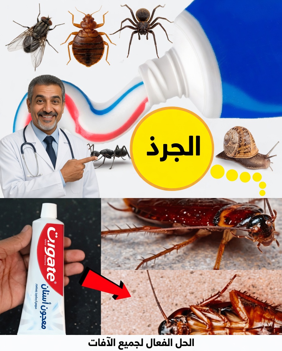 معجون الأسنان: الحليف المدهش ضد الصراصير والنمل