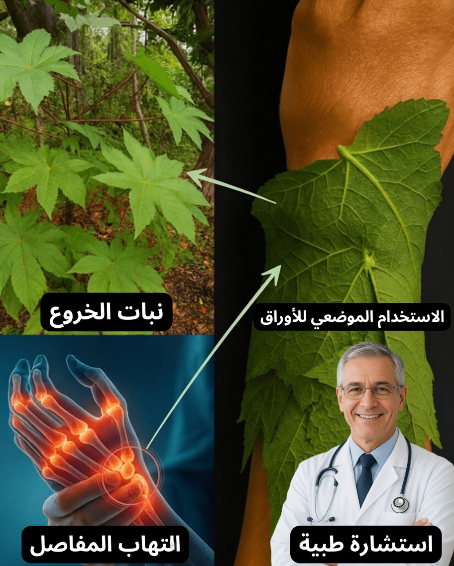 هل تخيلت يومًا أن ورقة بسيطة يمكن أن تكون المفتاح لأيام بلا ألم، وبشرة متألقة وطاقة لا تنتهي؟