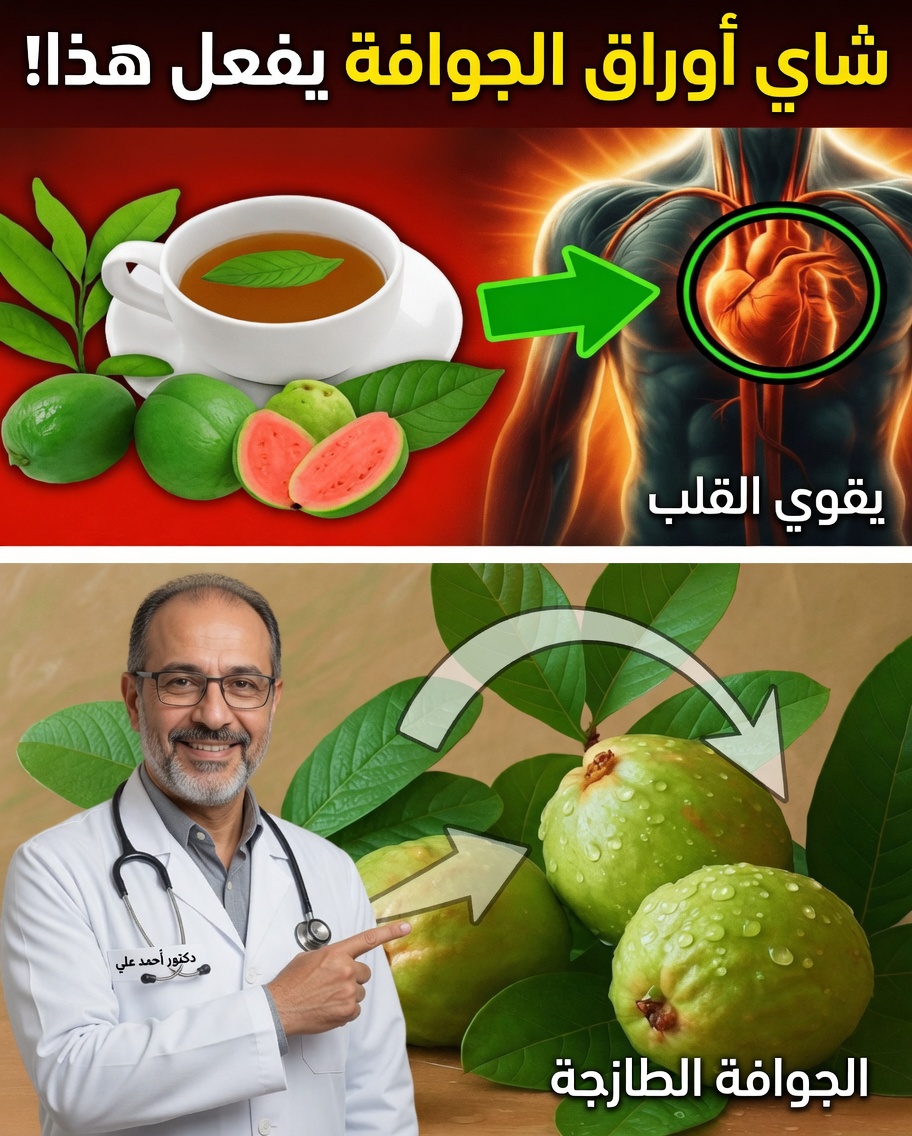 السر القديم لأوراق الجوافة الذي يعيد الرفاه الحديث اكتشافه