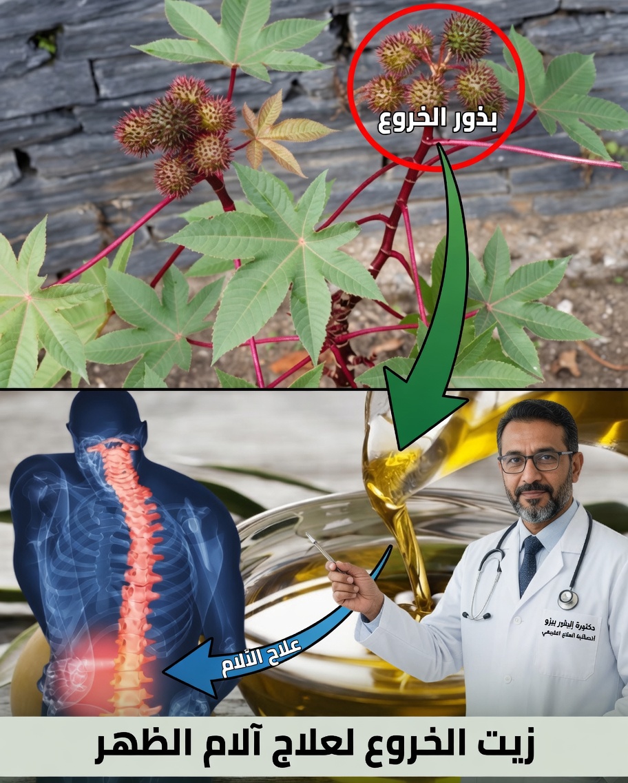 اكتشف الذهب الخفي في حديقتك: القوة العلاجية المذهلة لأوراق الخروع