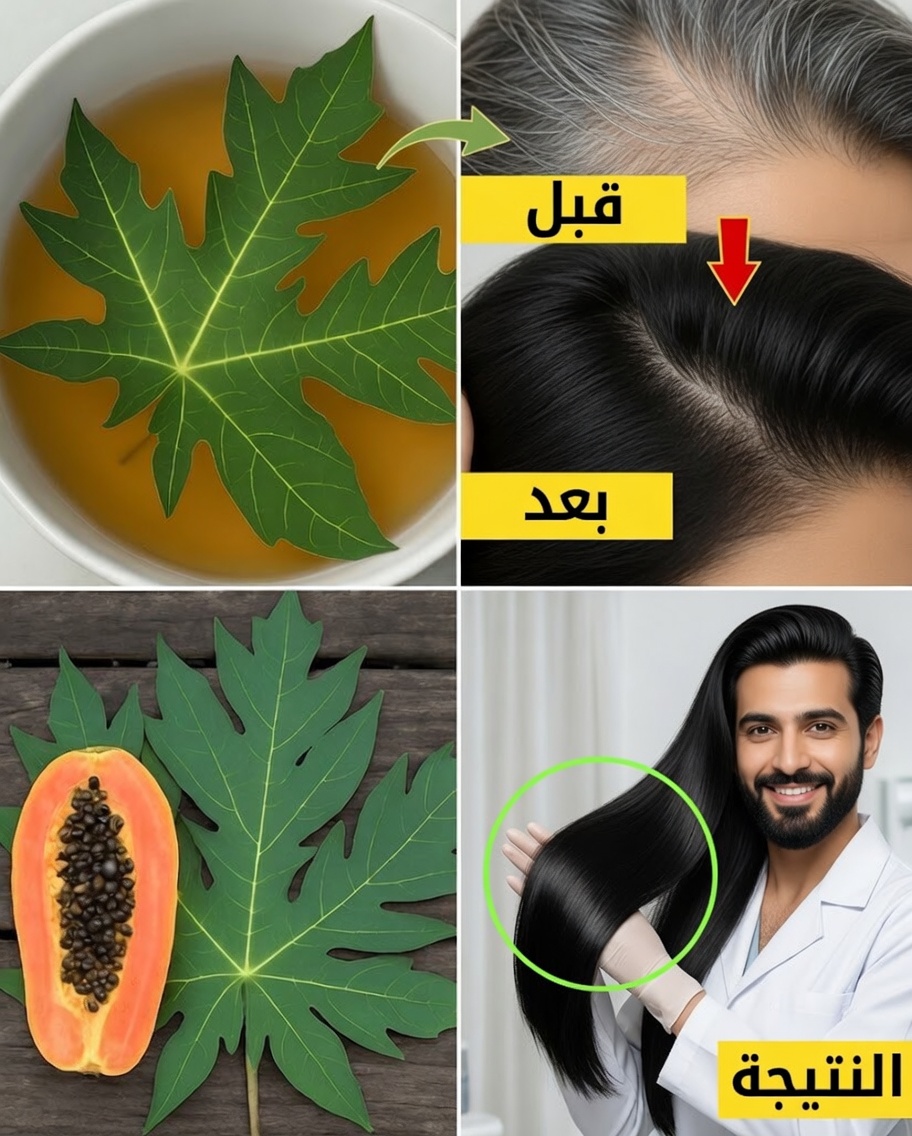 أوراق البابايا: الحيلة الطبيعية لشعرٍ أكثر قتامة وطولًا خلال الليل